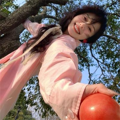 蝙蝠侠:侠影之谜