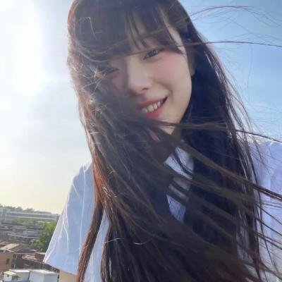 羊与钢的森林